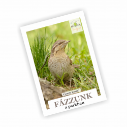 Fázzunk a parkban (10.22.)