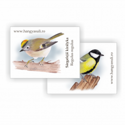 copy of Hummingbird -...