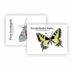 copy of Hummingbird -...
